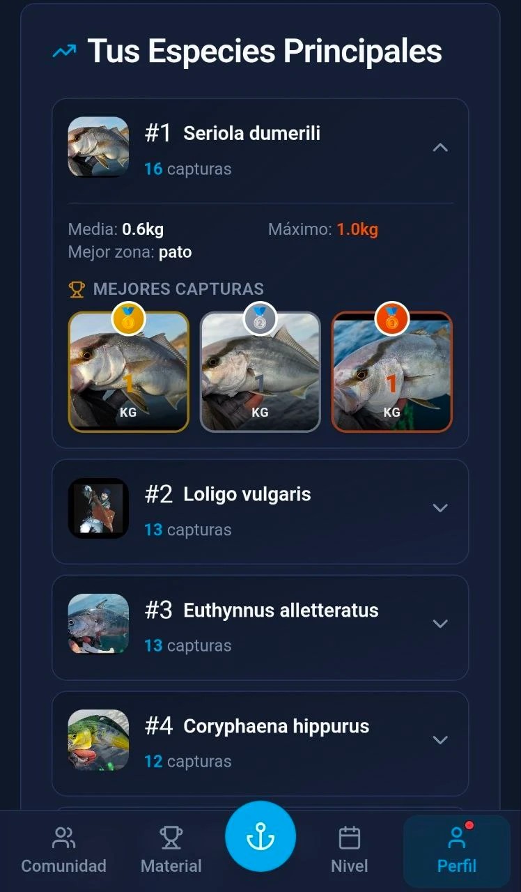 Análisis de capturas